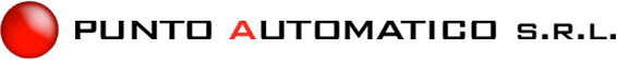 Punto Automatico